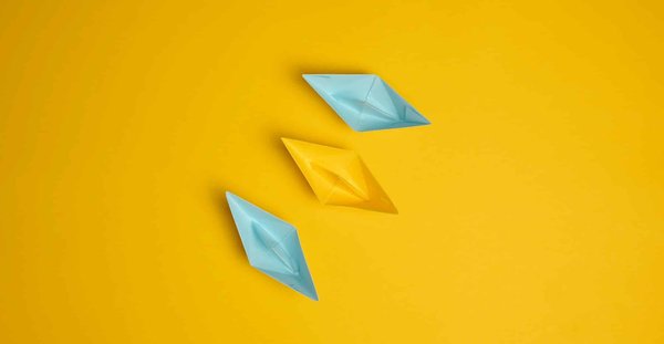 Tips for Building a Harmonious Multi-Cat Home: Reduce Feline Conflicts Effectively!